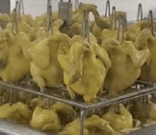 Mãn nhãn trước cảnh luộc gà cực chuyên nghiệp, một lúc làm chín hàng chục con khiến dân tình khen nức nở